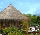 Baliem Valley Resort