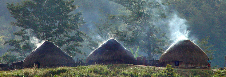 Baliem Valley Tour
