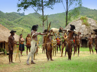 Pig Festival Baliem Valley